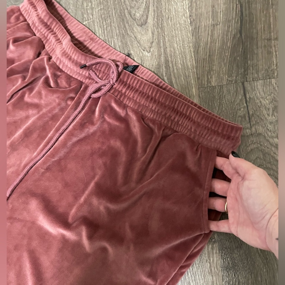 Size 3X/2X Blush Velvet Joggers